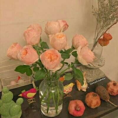 银河棋牌app下载