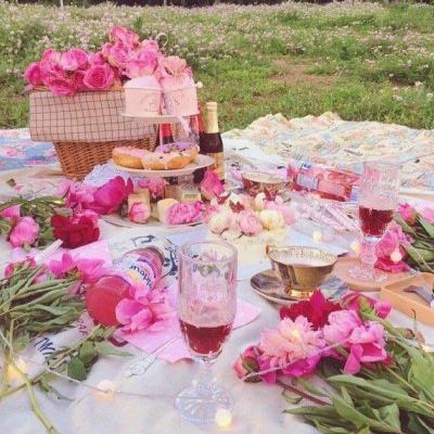 AOA体育登录入口app下载