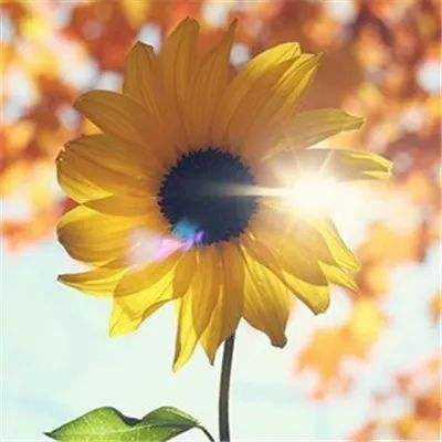 万博手机版max网页版(中国)官方网站